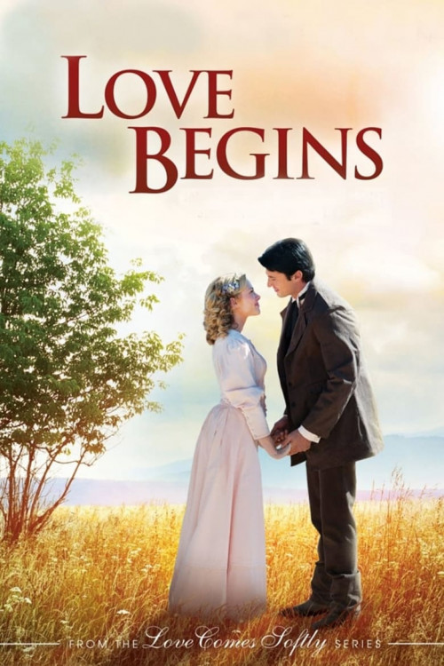 Love Begins (2010) poster