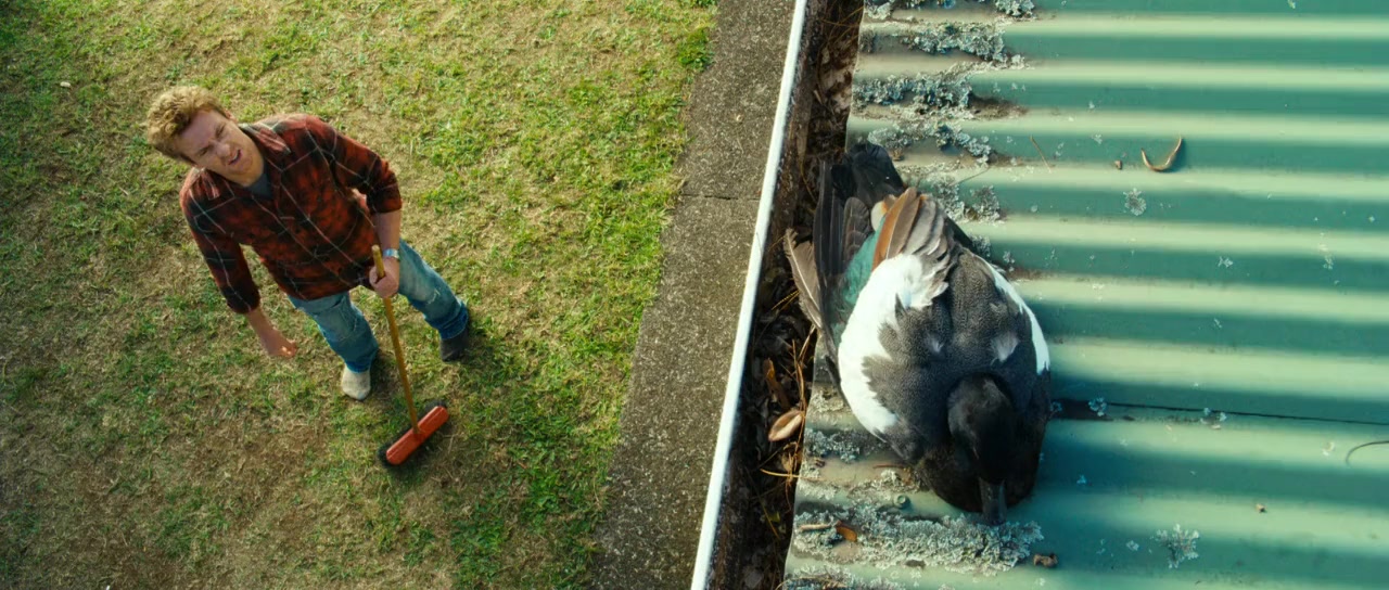 Love Birds screenshot 2