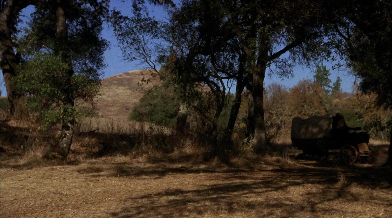 Love Comes Softly screenshot 1