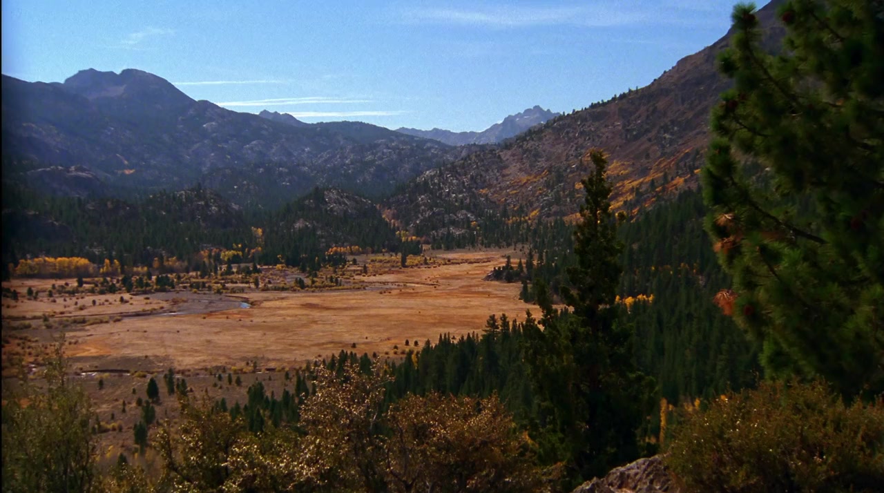Love Comes Softly screenshot 2