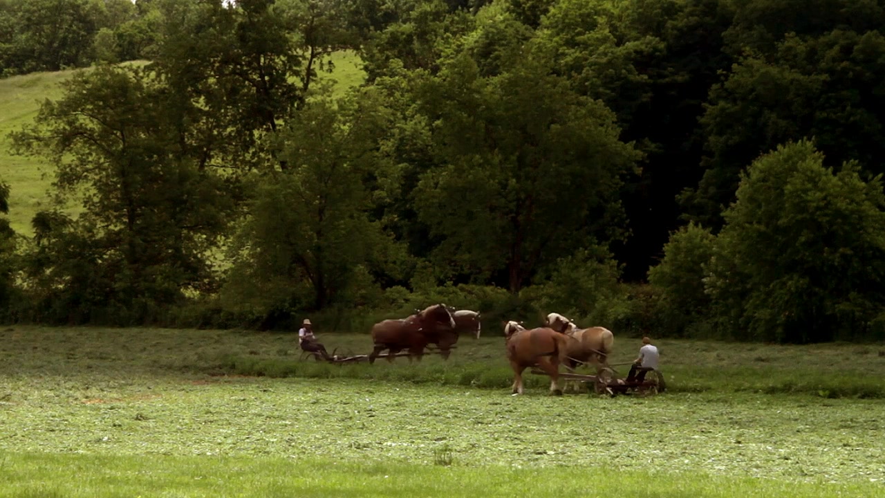 Love Finds You in Sugarcreek screenshot 2