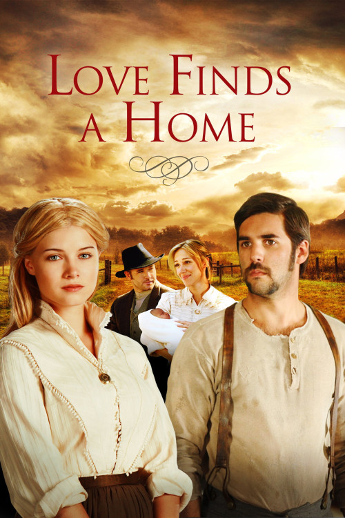 Love Finds a Home (2009) poster