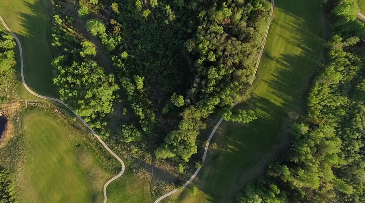 Nature of Love screenshot 1