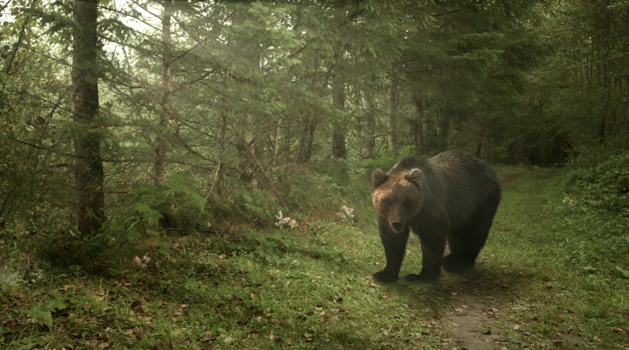 Nature of Love screenshot 2