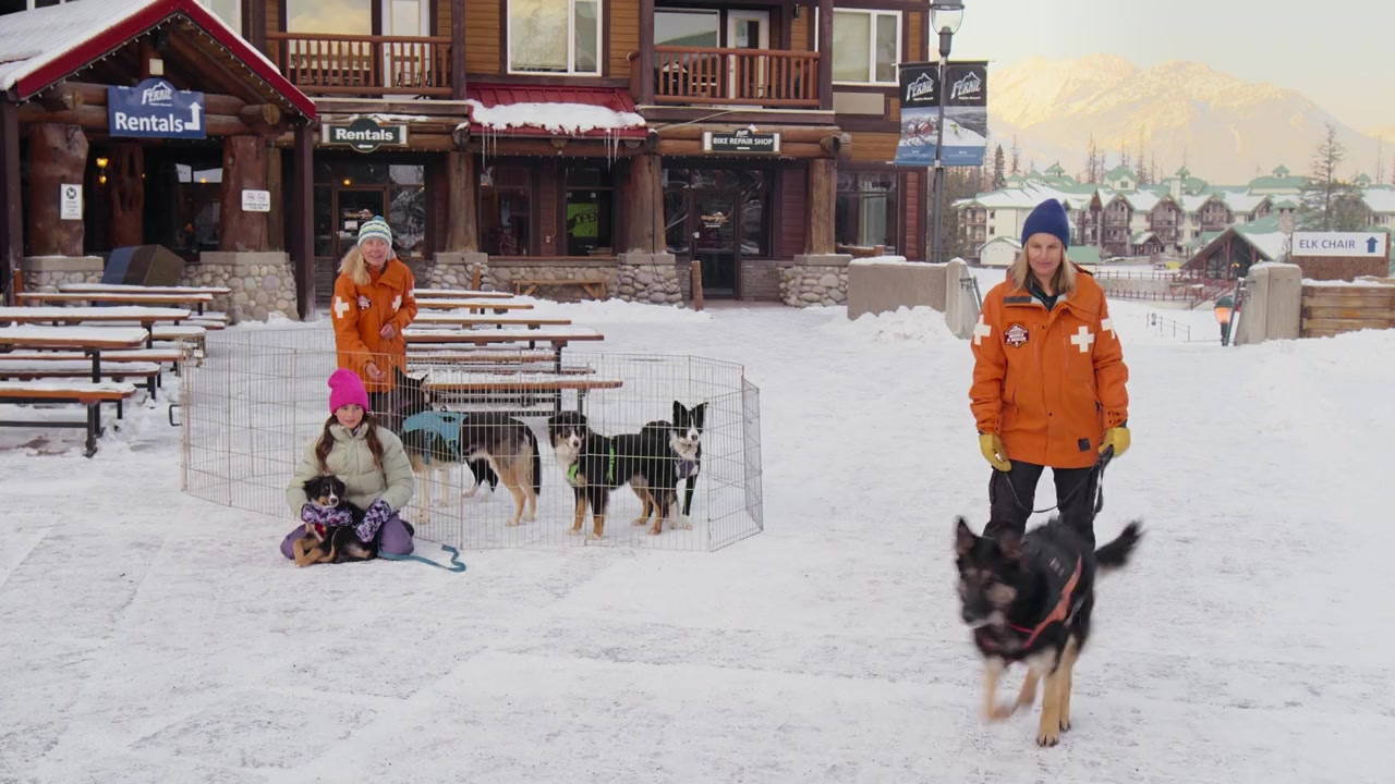 Love in Glacier National: A National Park Romance screenshot 2