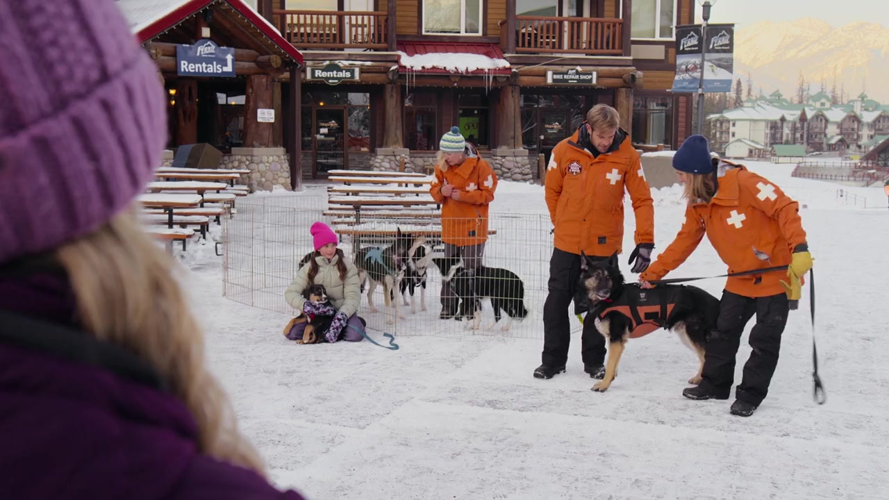 Love in Glacier National: A National Park Romance screenshot 3