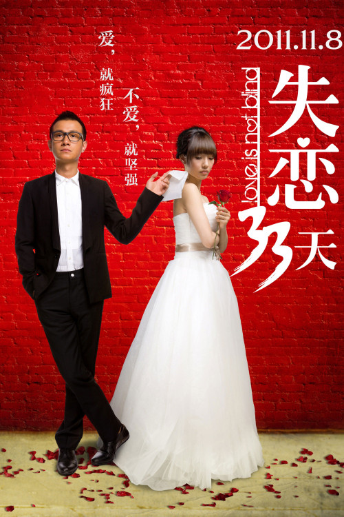 Shi lian 33 tian (2011) poster