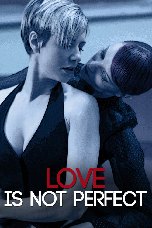 L'amore è imperfetto (2012) poster