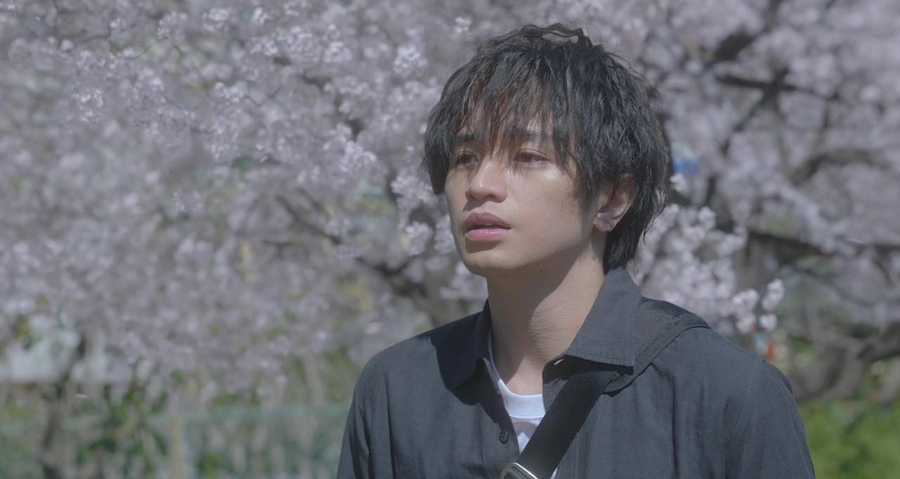 Sakura no yô na boku no koibito screenshot 3