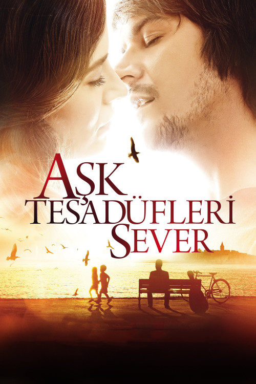 Ask Tesadüfleri Sever (2011) poster