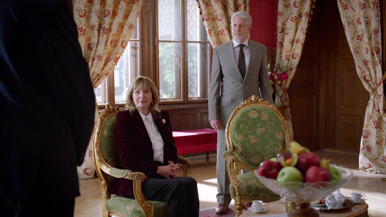 Love on the Danube: Royal Getaway screenshot 2