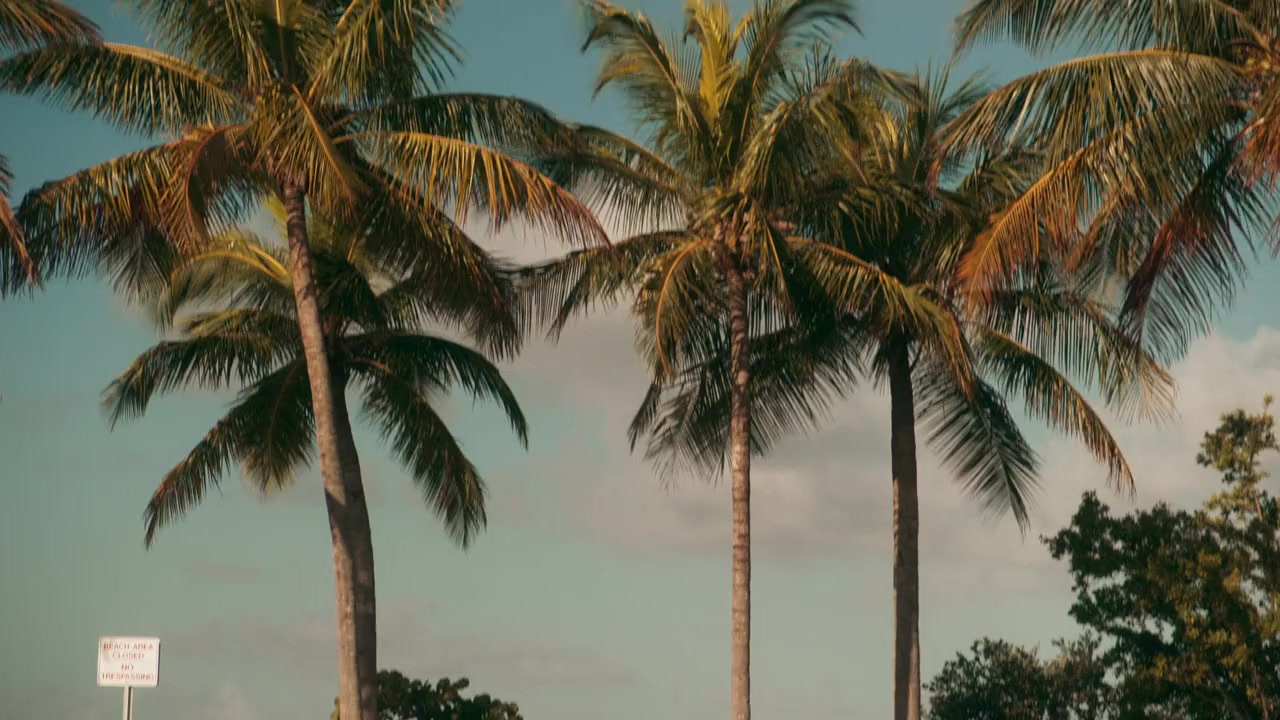 Love on the Reef screenshot 2