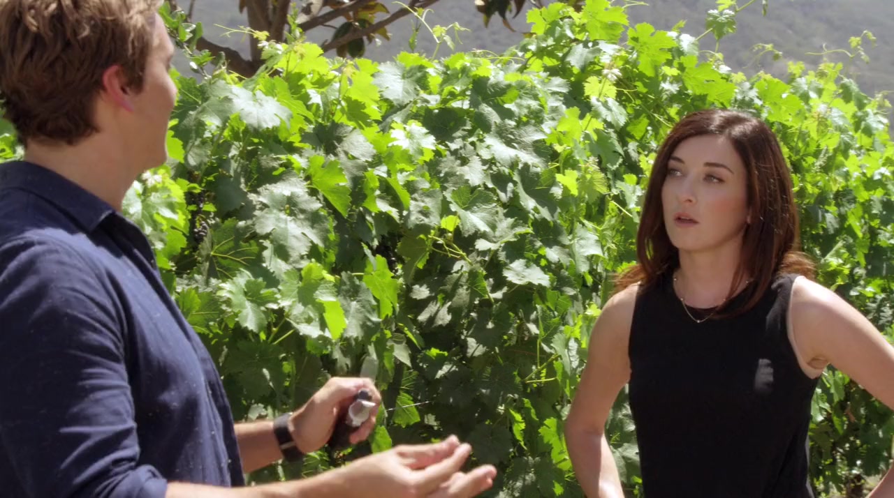 Love on the Vines screenshot 1