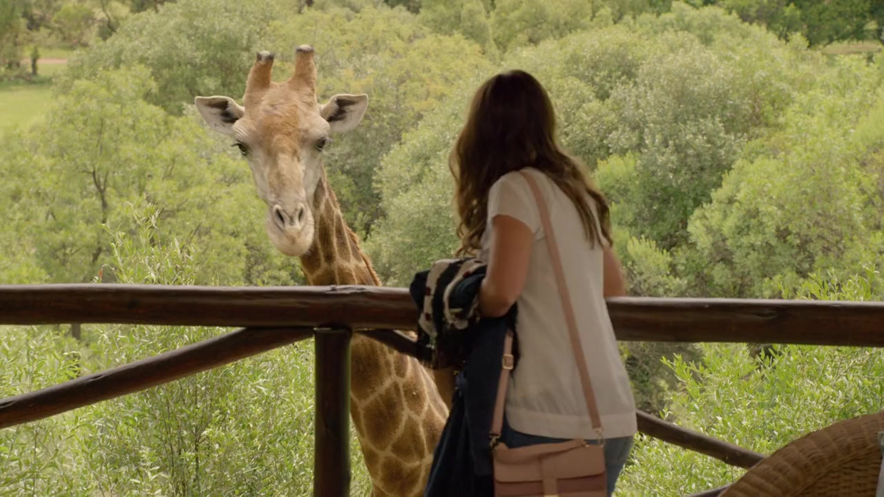 Love on Safari screenshot 3