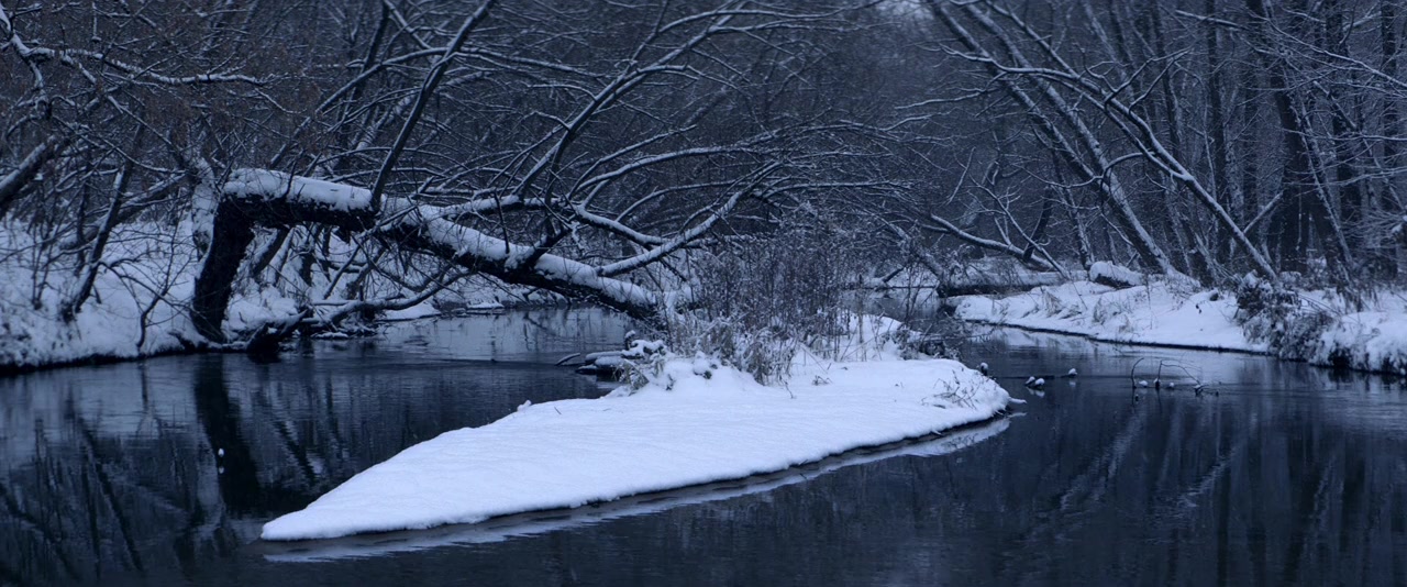 Nelyubov screenshot 2