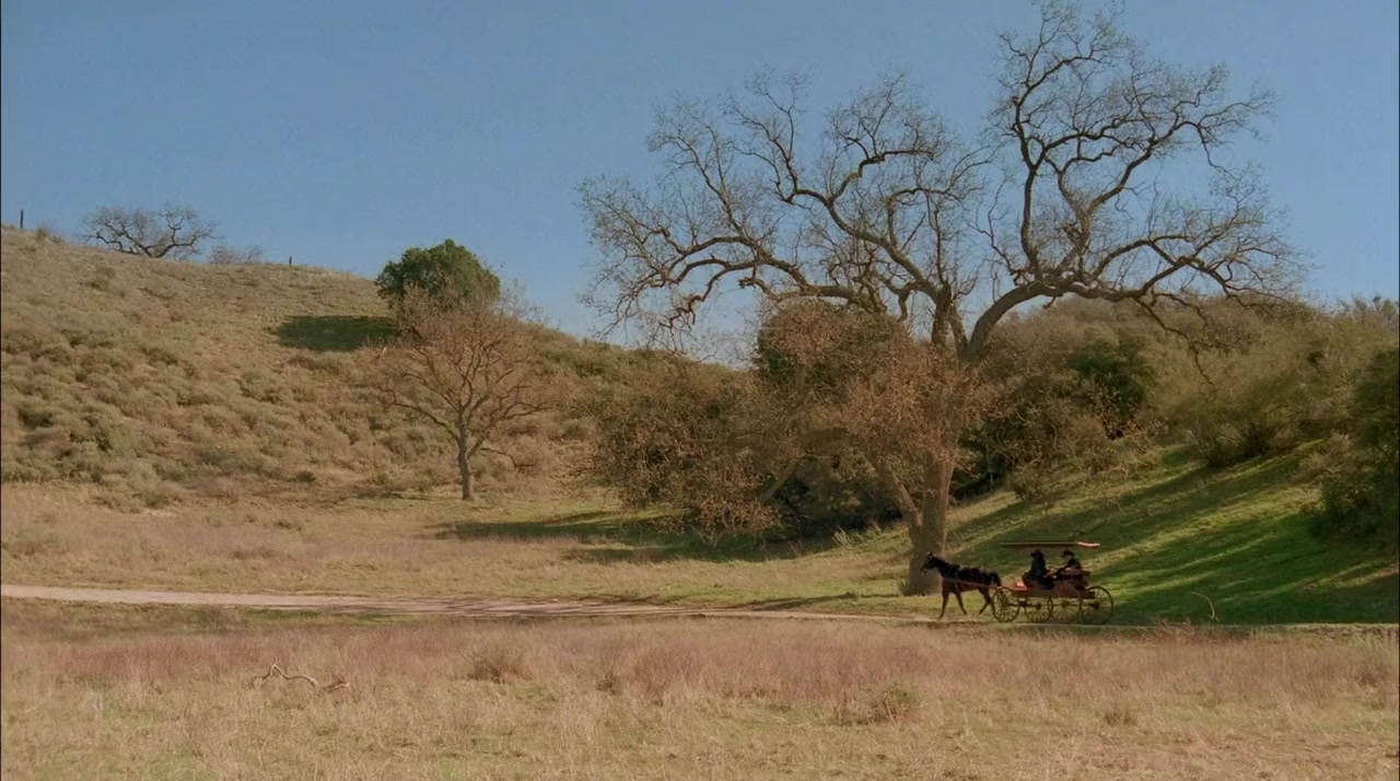 Love's Abiding Joy screenshot 2