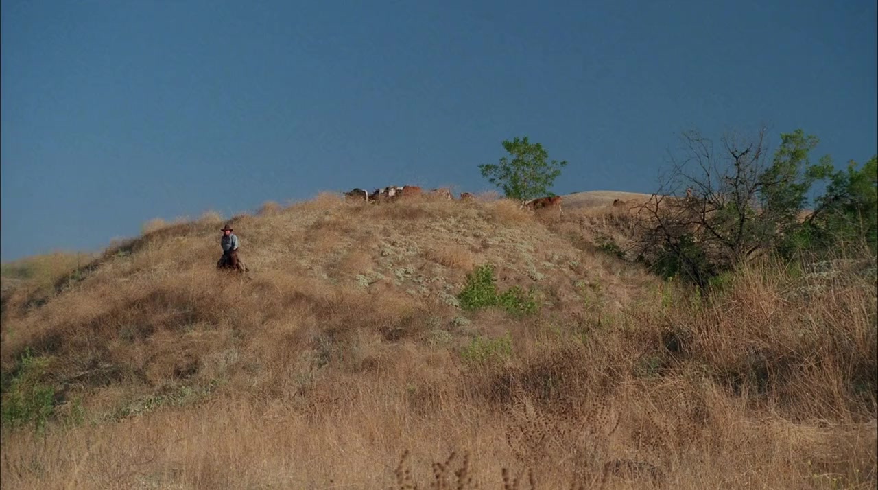 Love's Abiding Joy screenshot 3