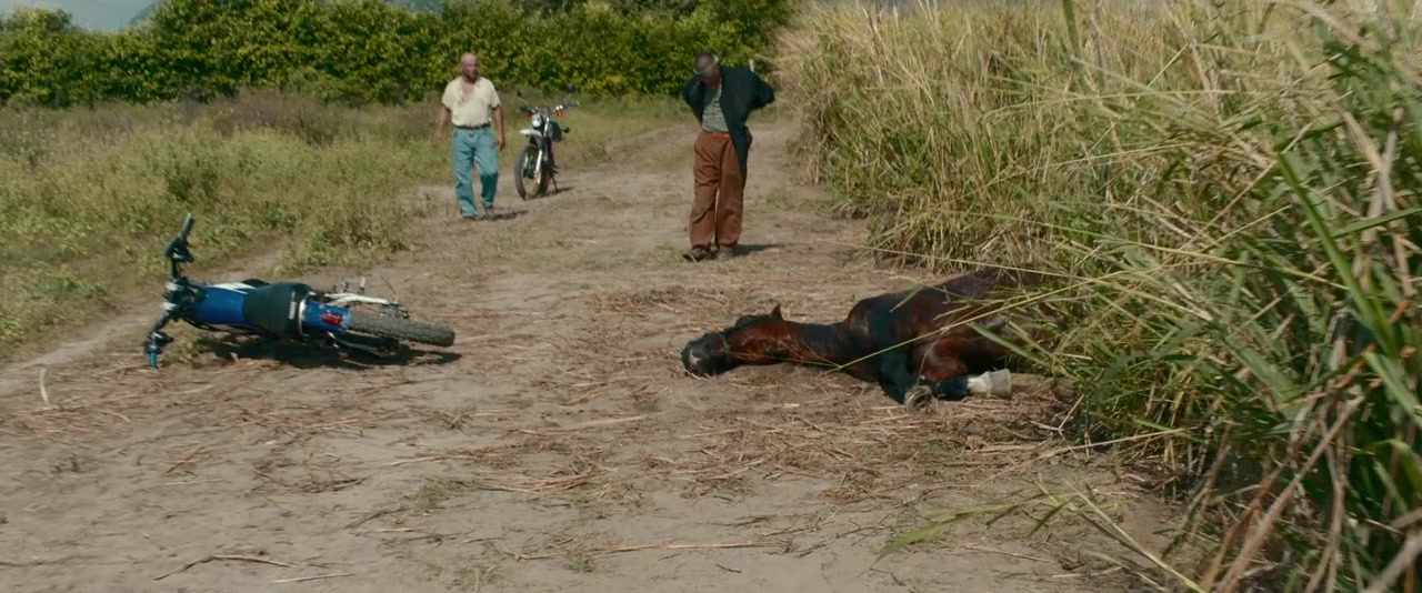 Loving Pablo screenshot 2