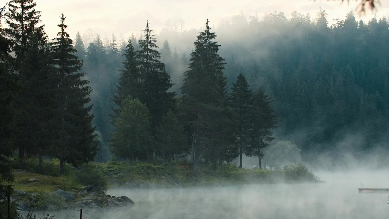 Loch Ness Monster Captured screenshot 1
