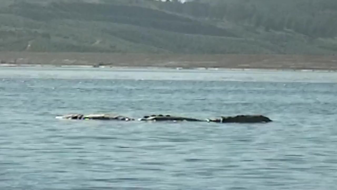 Loch Ness Monster Captured screenshot 3