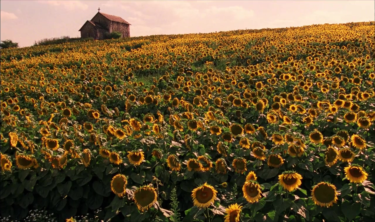 Hosszú alkony screenshot 1