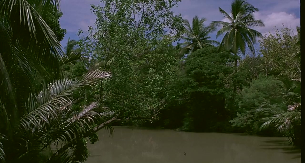 Long khong screenshot 1