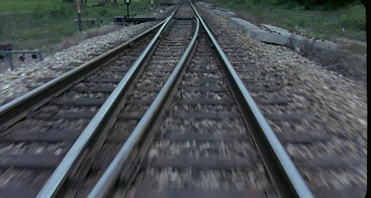 Long khong screenshot 3