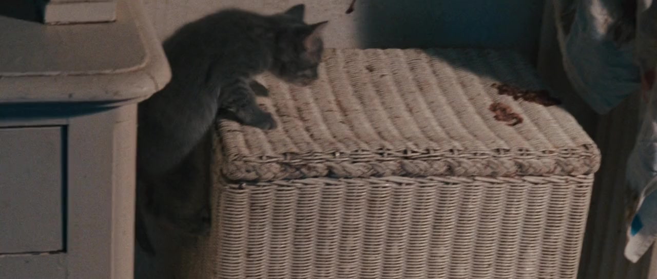 Viva la vie screenshot 3