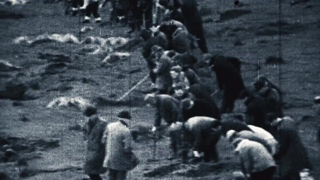 Longford screenshot 1