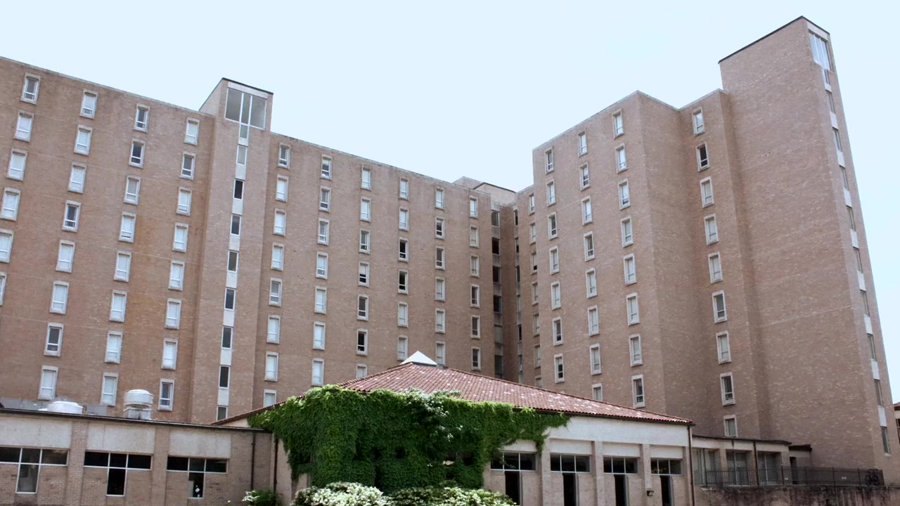 Longhorns screenshot 1