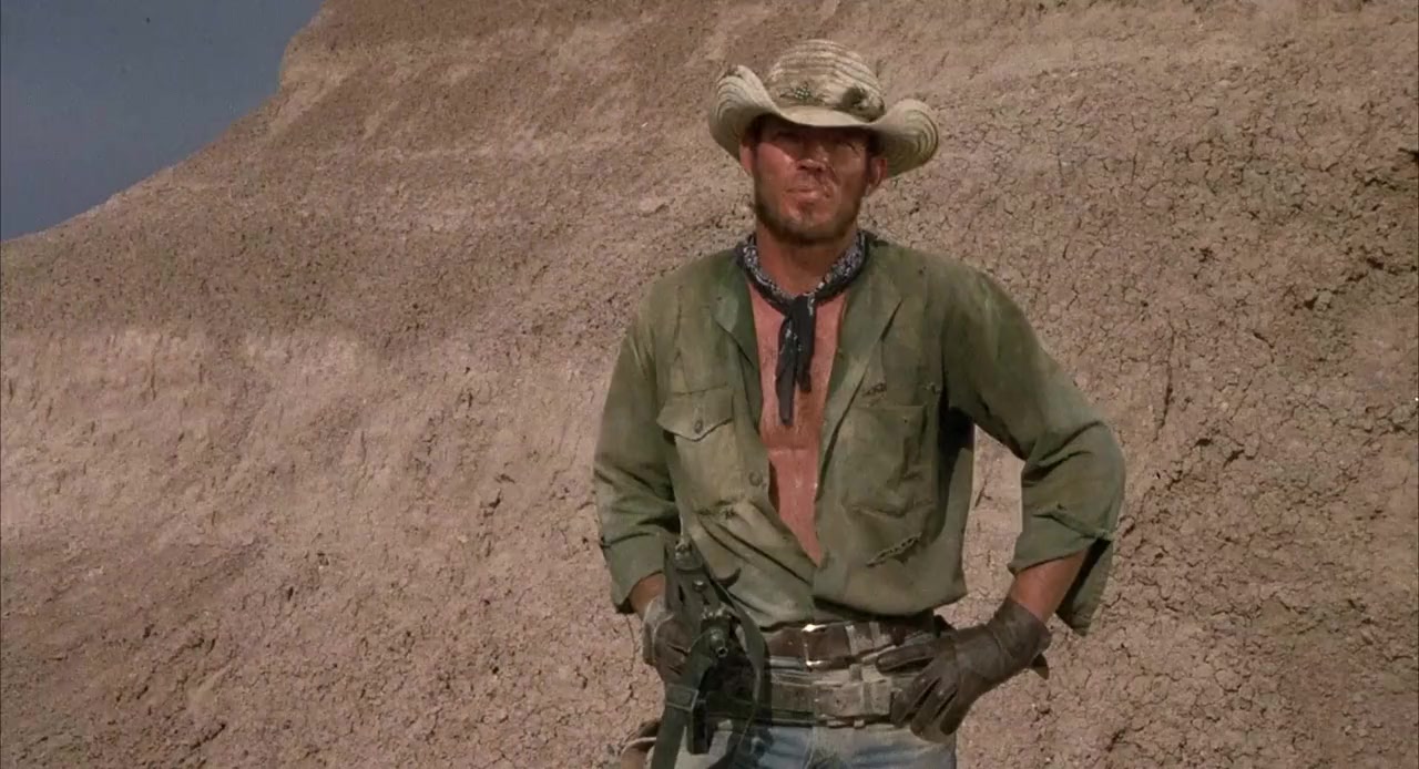 Lone Wolf McQuade screenshot 2