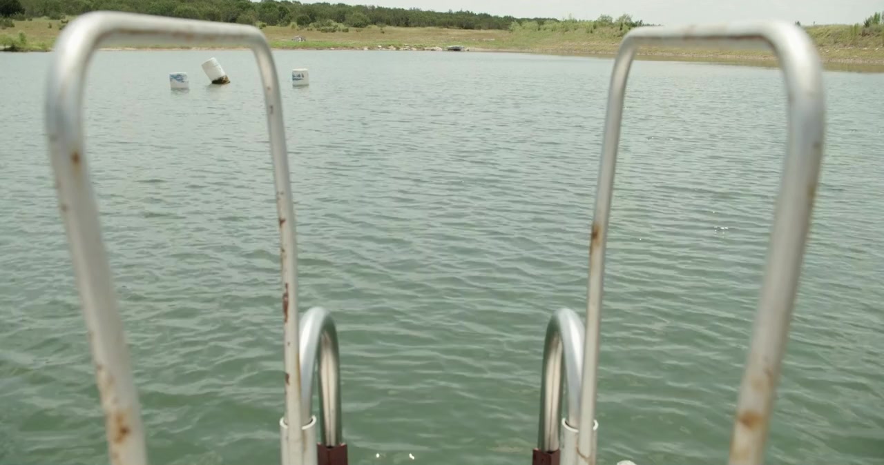 Lone Star Shark screenshot 2