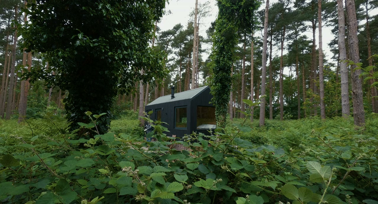 Loner screenshot 1