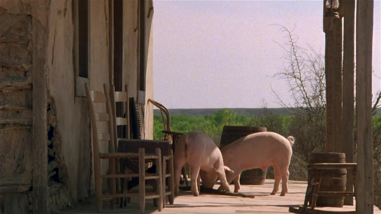 Lonesome Dove screenshot 2