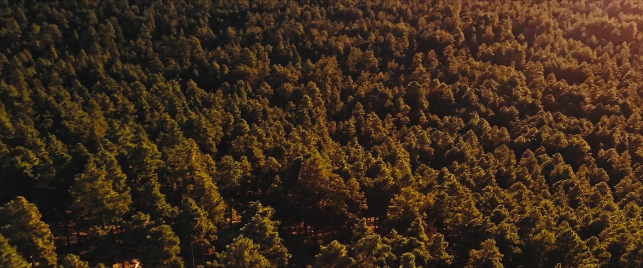 Lookout screenshot 2