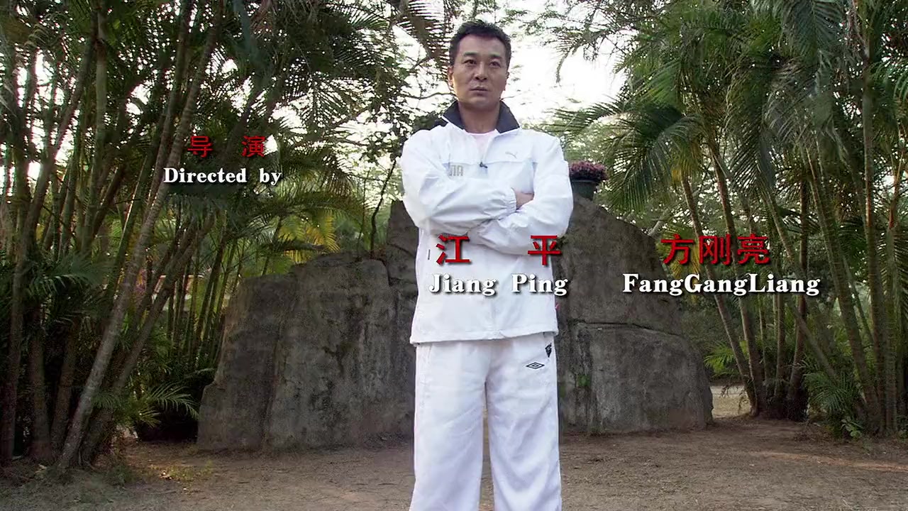 Xun zhao Cheng Long screenshot 1