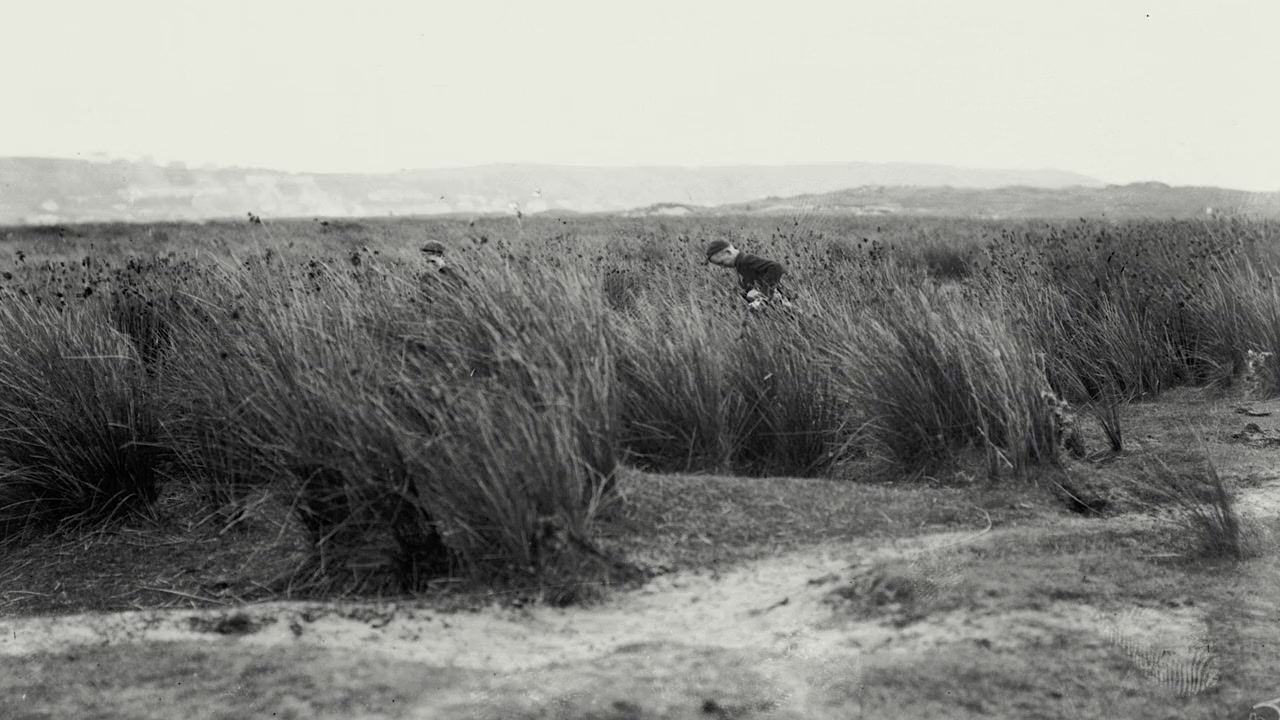 Loopers: The Caddie's Long Walk screenshot 3