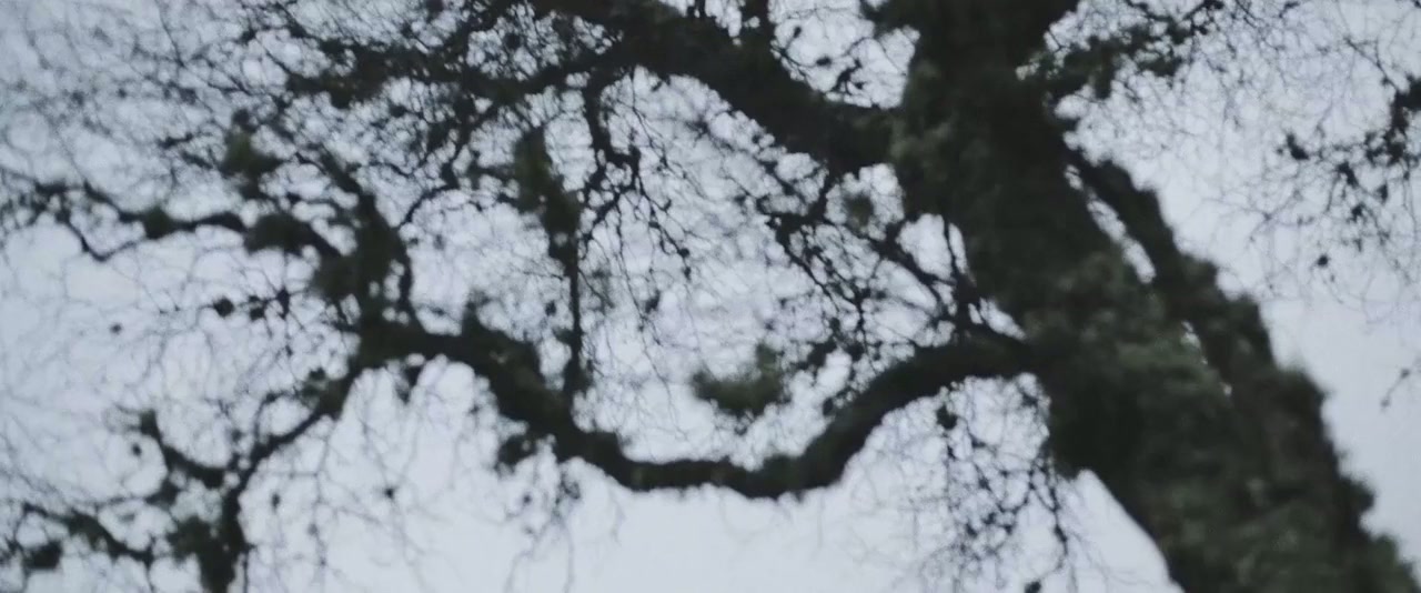 Lord of Tears screenshot 1
