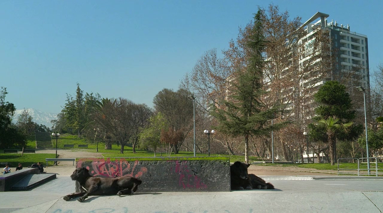 Los Reyes screenshot 2