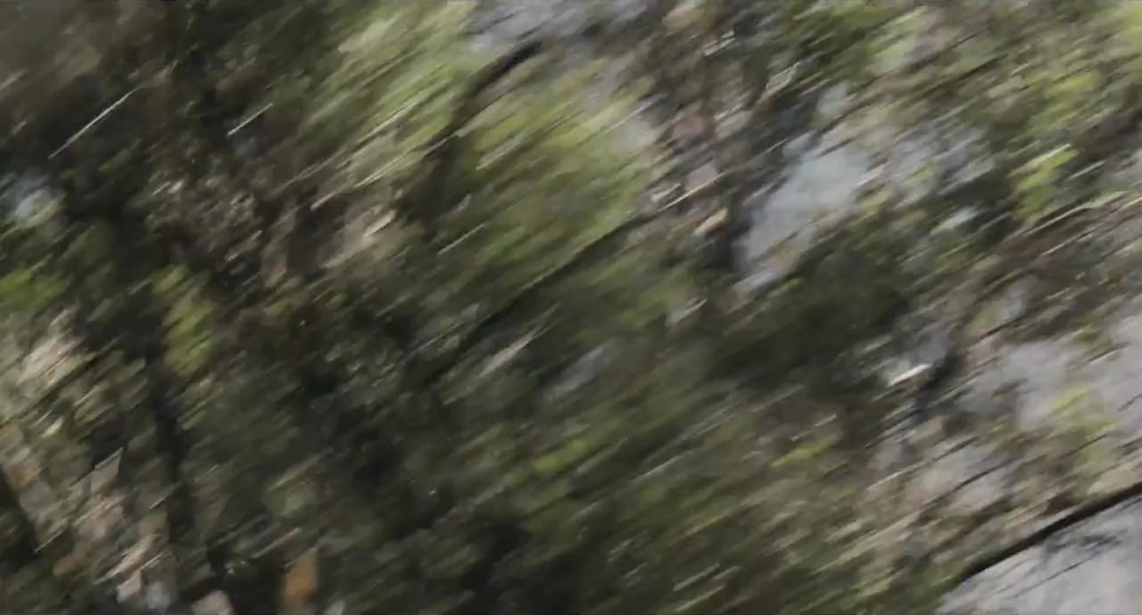 Losers screenshot 3