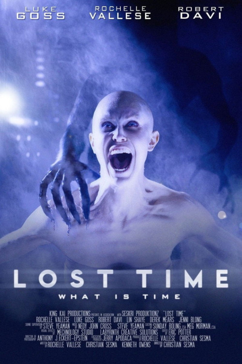 Lost Time (2014) poster
