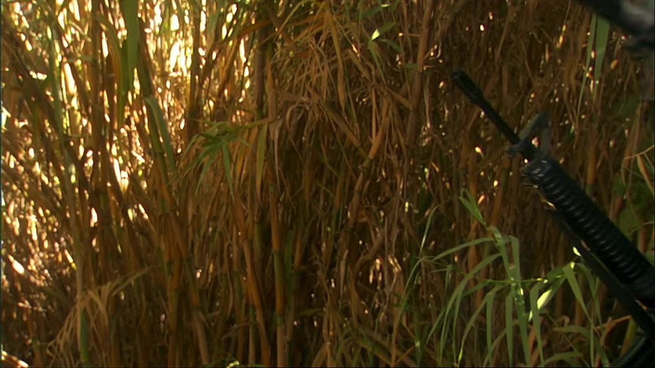 Lost at War screenshot 3