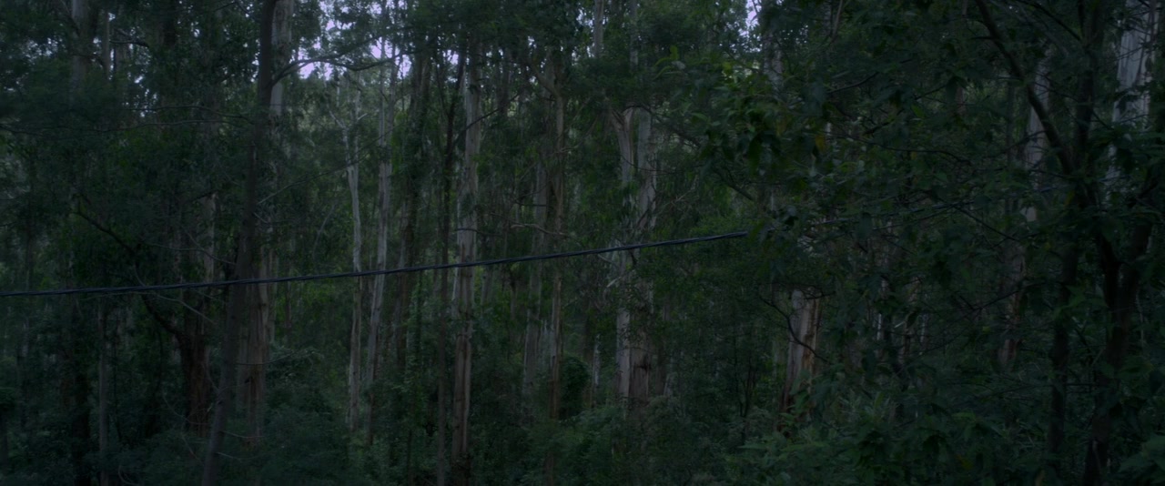 Lost Gully Road screenshot 2
