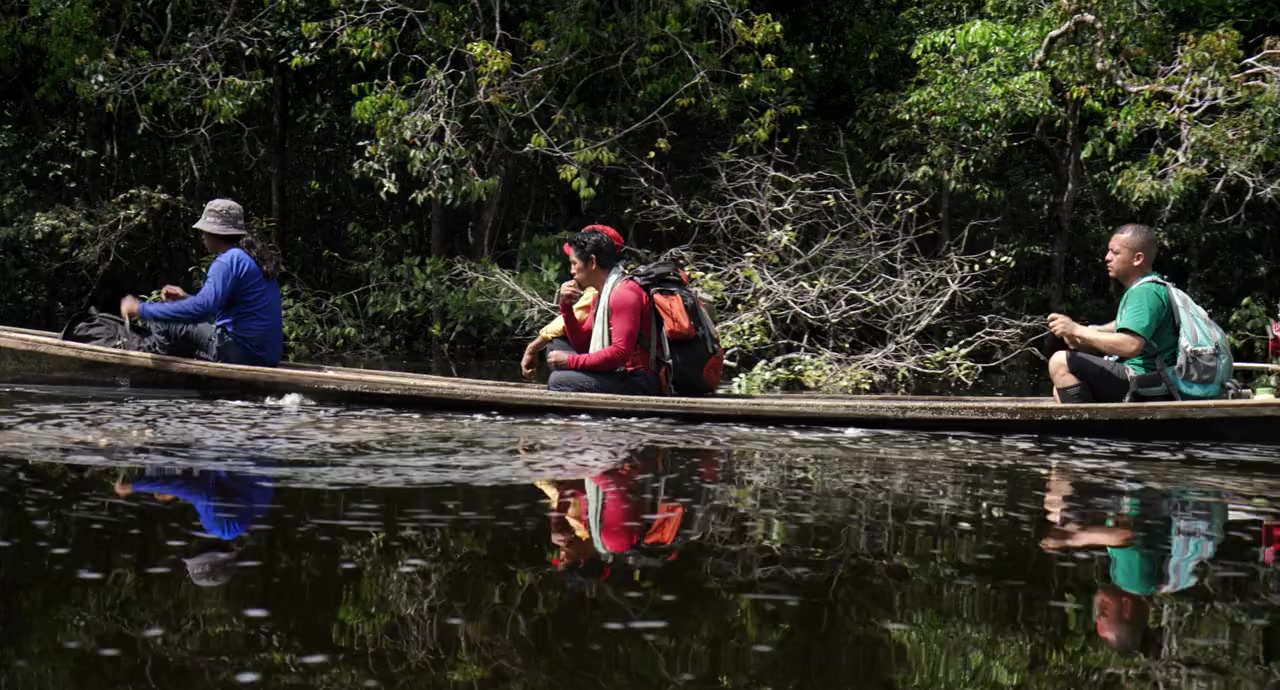 Lost in the Jungle screenshot 2