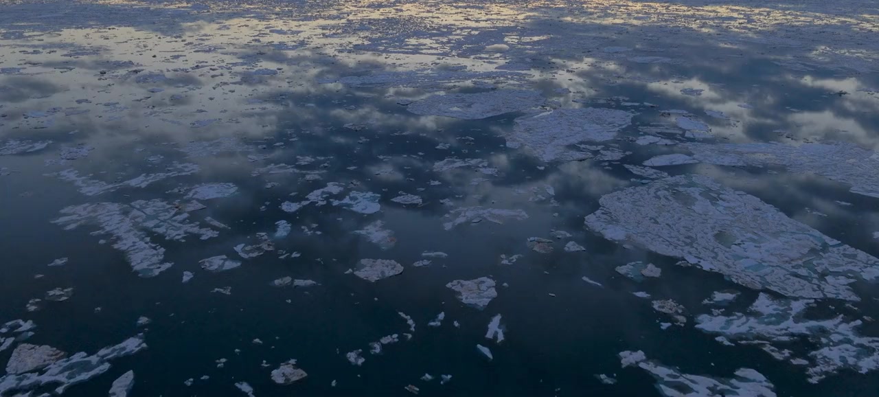Lost in the Arctic screenshot 1