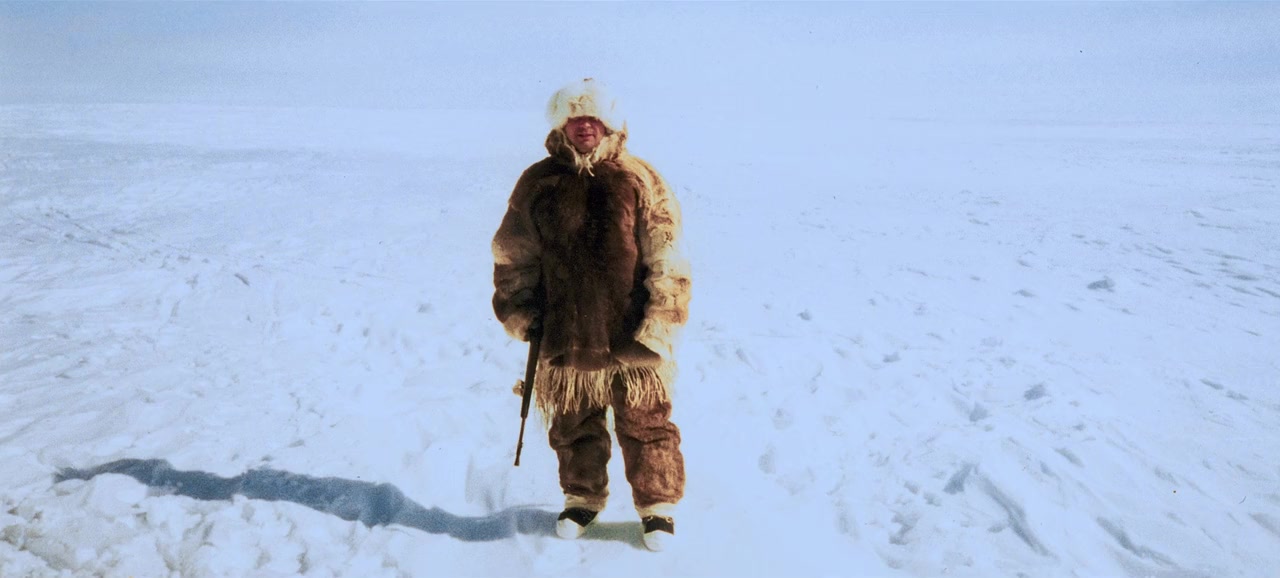 Lost in the Arctic screenshot 3