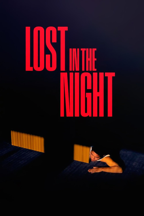 Perdidos en la noche (2023) poster