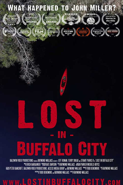Lost in Buffalo City (2017) poster