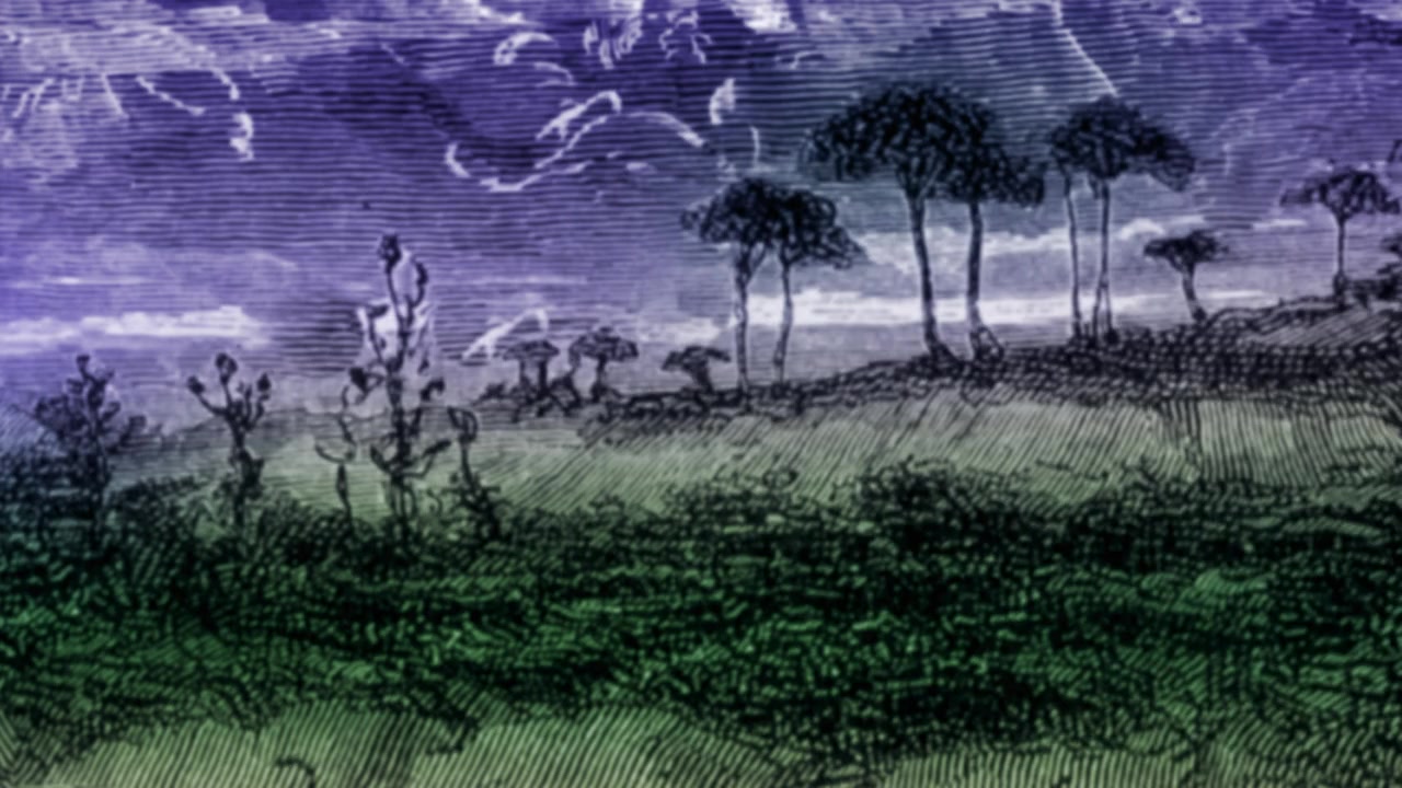 Lost in La Mancha screenshot 3