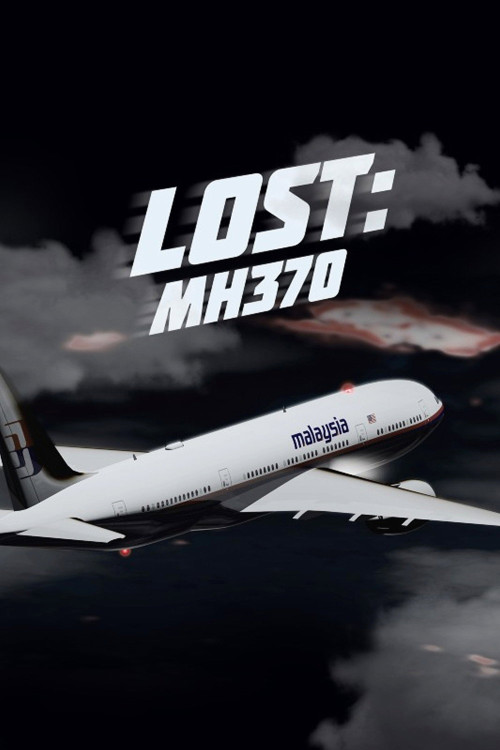 Lost: MH370 (2014) poster